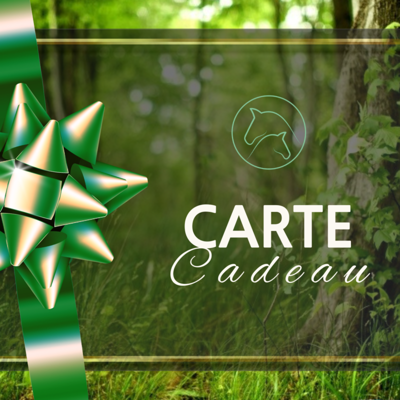 Carte Cadeau