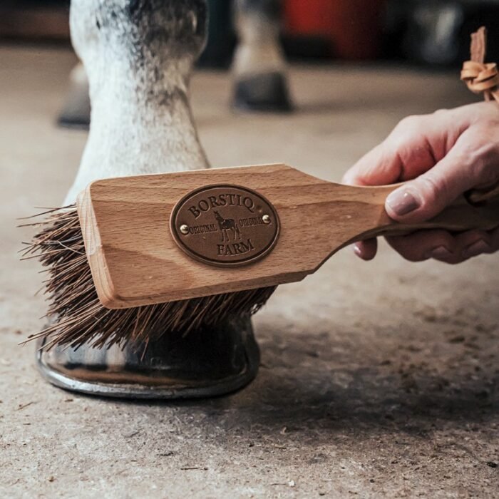 Borstiq - Brosse à sabot "Islandaise" – Image 3