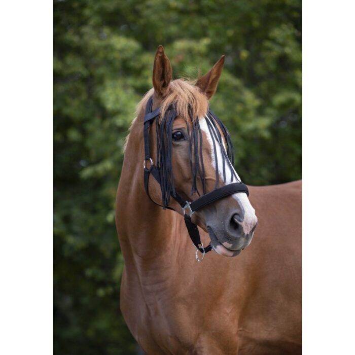 Norton - Frontal Chasse-Mouches – Image 2