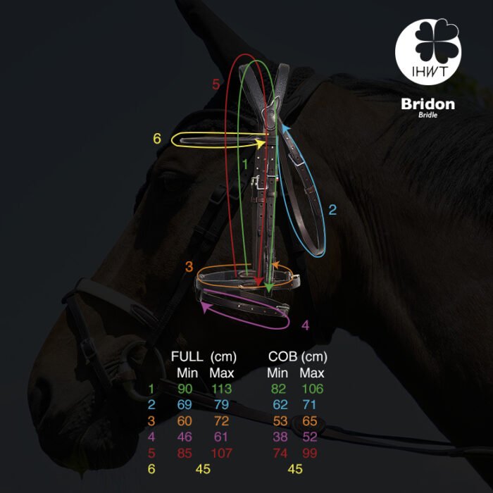 IHWT - Bridon Évolution Soft T Contact sans Pull-Back – Image 9
