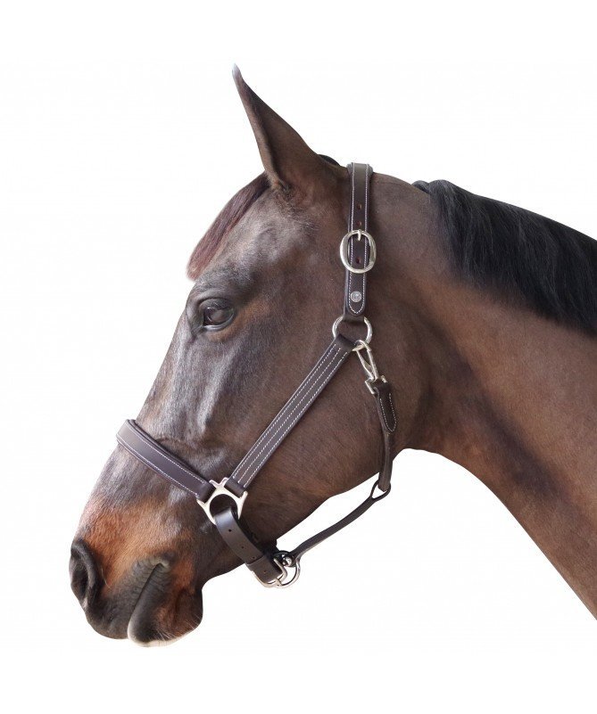 Canter - Licol cuir doublé