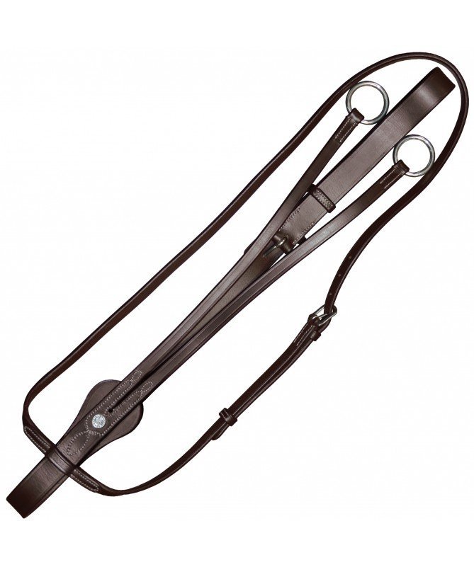 Canter - Martingale tulipe
