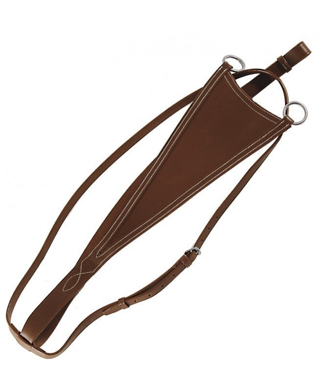 Canter - Martingale à triangle