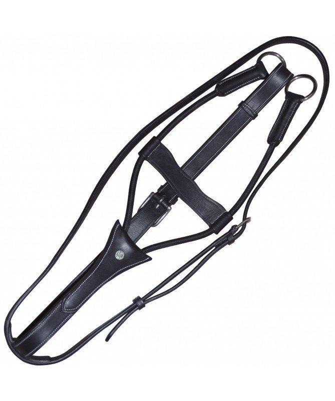 Canter - Martingale élastique