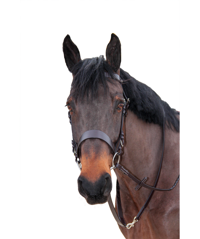 Canter - Longe de chasse Marron