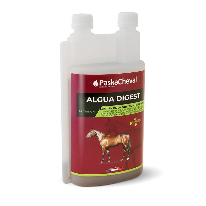 Paska Cheval - Algua Digest