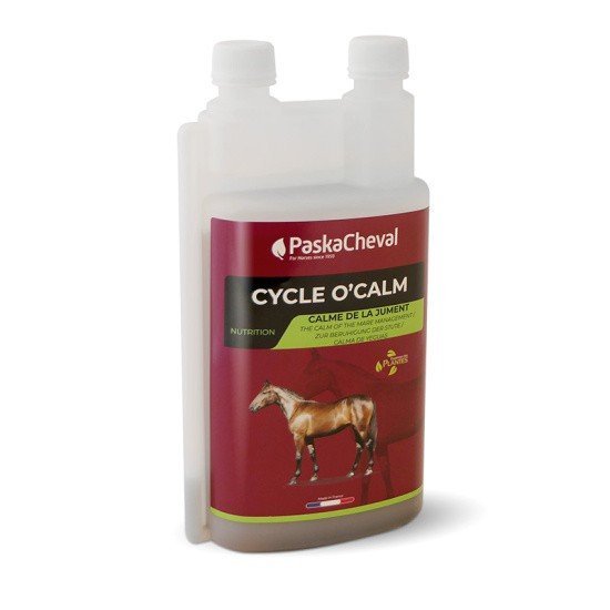 Paskacheval - Cycle o'calm