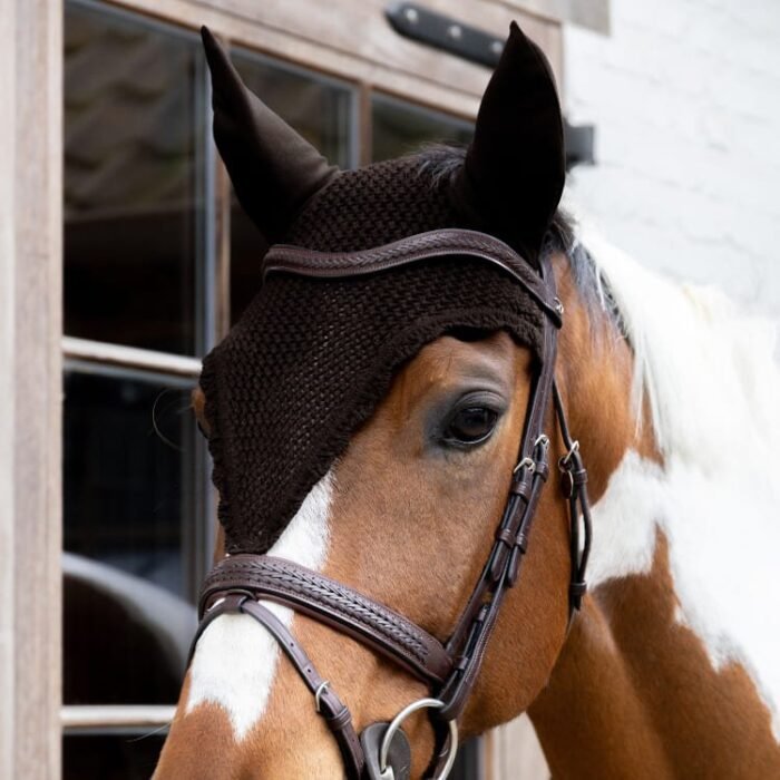 Kentucky - Bonnet long – Image 2