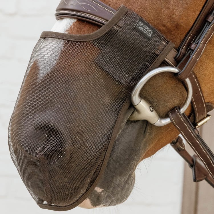 Kentucky - Filet de nez Kentucky