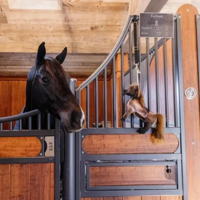 Kentucky - Jouet Cheval Relax Tobi – Image 4