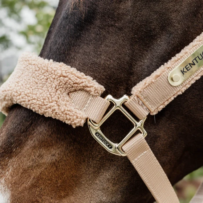 Kentucky - Licol en polaire Teddy – Image 3