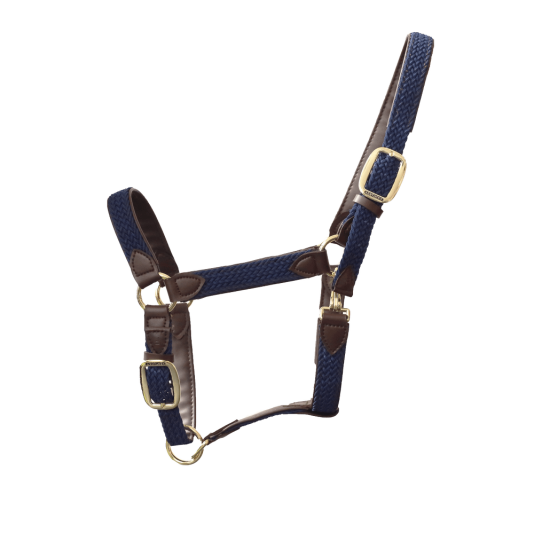 Kentucky - Licol nylon tressé