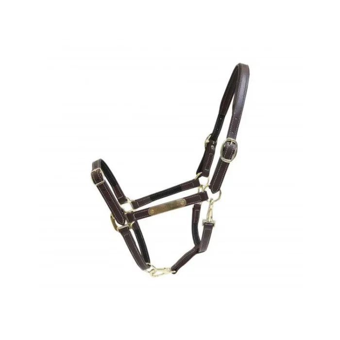 Kentucky - Licol Leather Nose Buckle Halter
