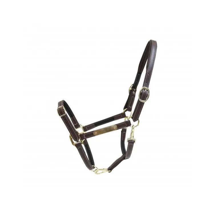 Kentucky - Licol Leather Nose Buckle Halter