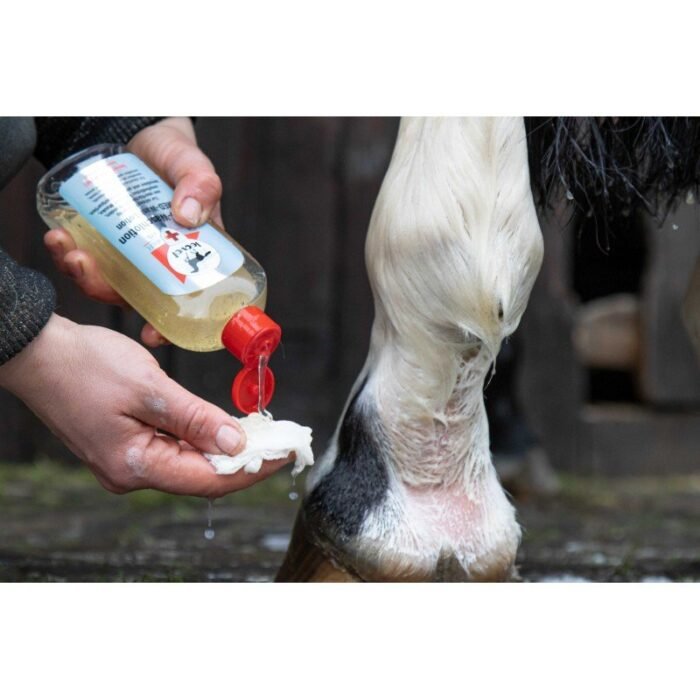 Leovet - Nettoyant plaie Med-Waschlotion 250ml – Image 2