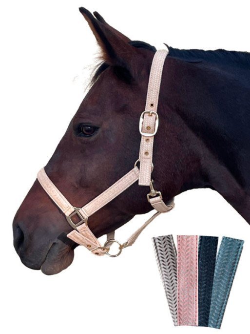 Canter - Licol Malibu