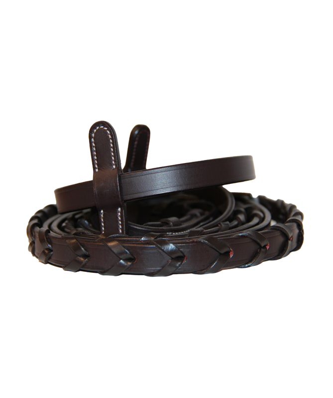 Canter - Renes Bredies chasse