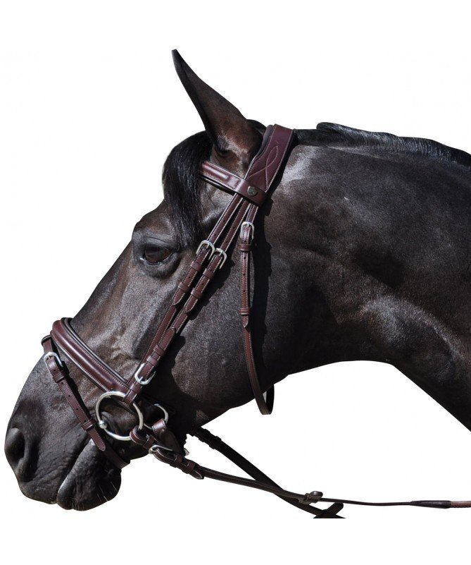 Flags&Cup - Bridon Hickstead