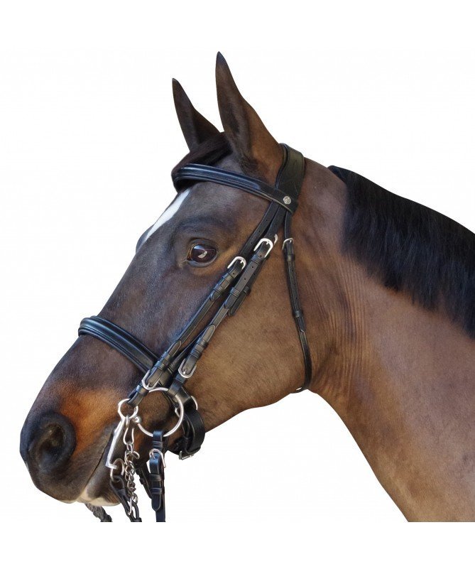 Canter - Bride Euro