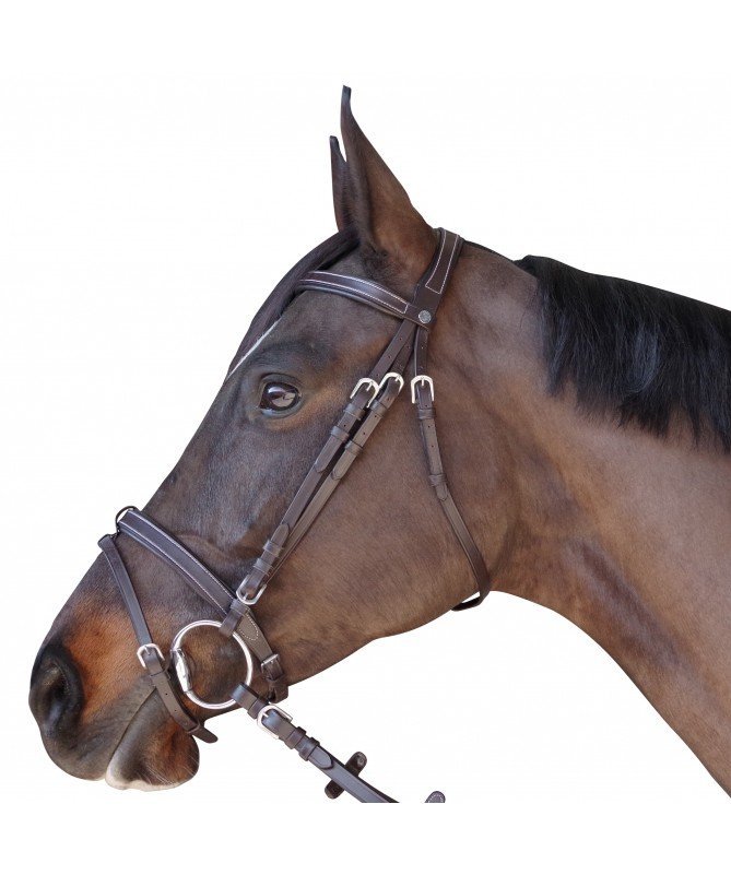 Canter - Bridon plat doublé