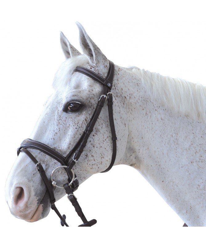 Canter - Bridon Ornella