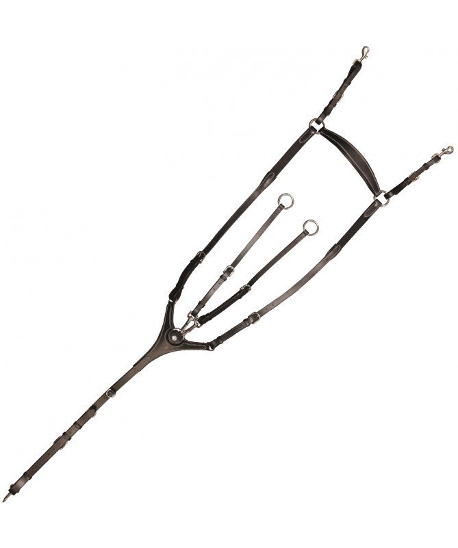 Canter - Collier de chasse