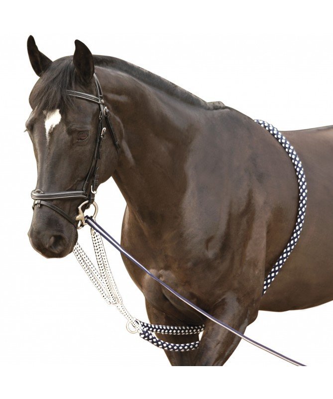 Canter - Enrênement Soft Rope