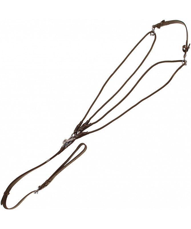 Canter - Gogue Standard