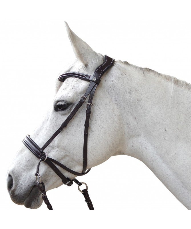 Canter - Bridon Bitless Evolution