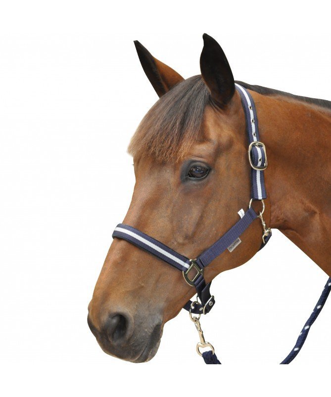 Canter - Set licol et longe lurex
