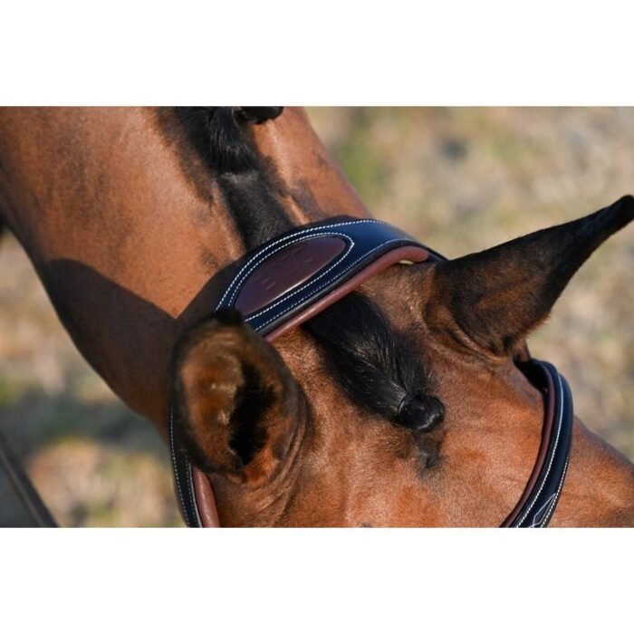 Jump'in - Bridon Liberty Collection One – Image 7