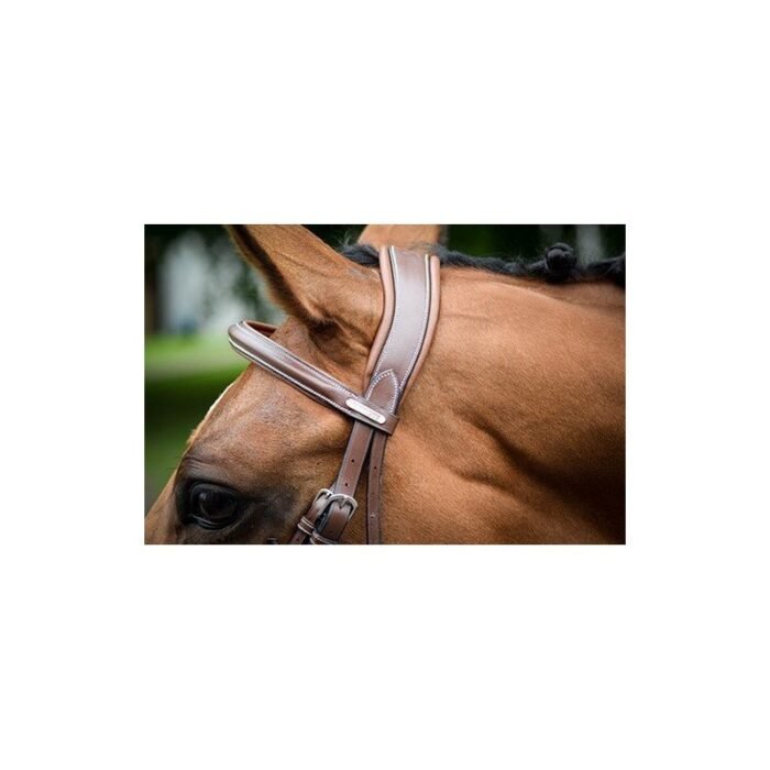 Jump'in - Bridon London Collection One – Image 2