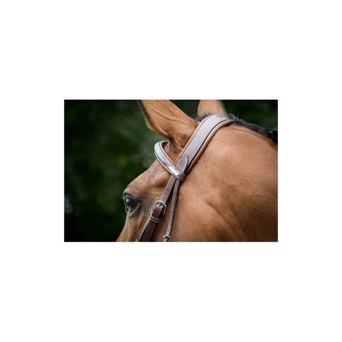 Jump'in - Bridon London Collection One – Image 4