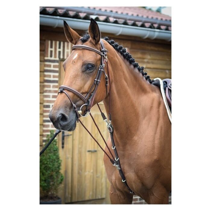 Jump'in - Gogue Collection One – Image 2