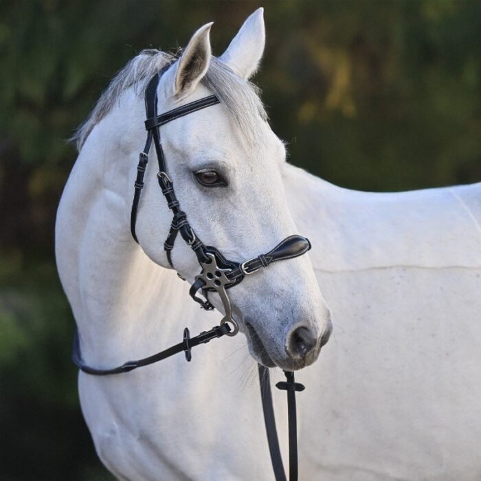 Jump'in - Bridon Hackamore – Image 3