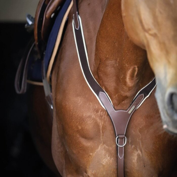 Jump'in - Collier de chasse élastique et martingale – Image 2