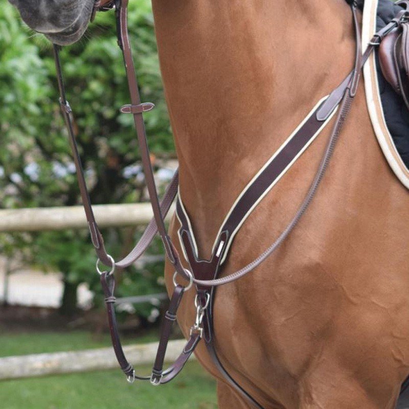 Jump'in - Collier de chasse élastique et martingale