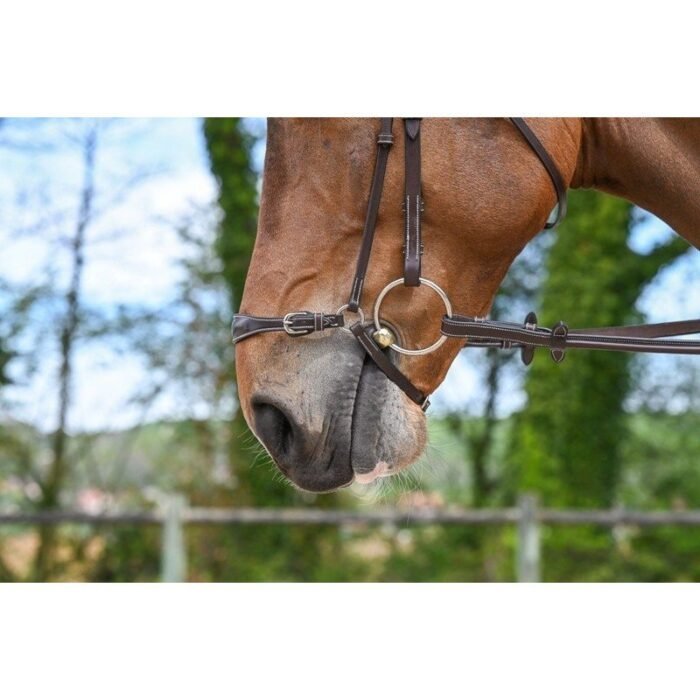 Jump'in - Muserolle allemande – Image 5