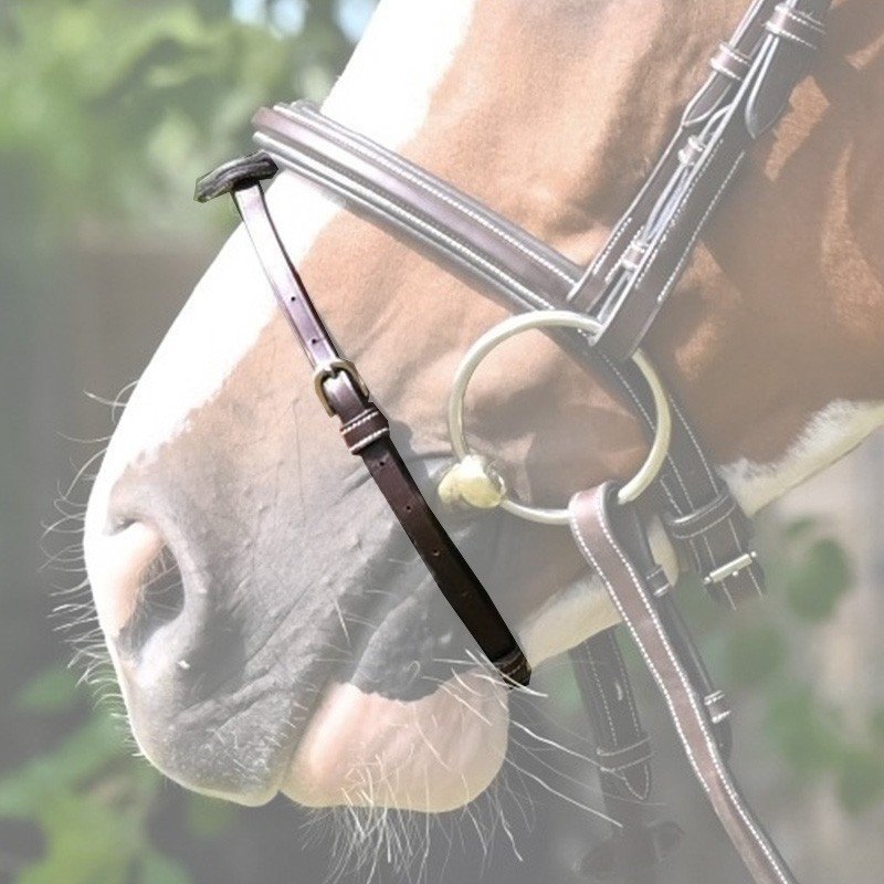 Jump'in - Noseband Week