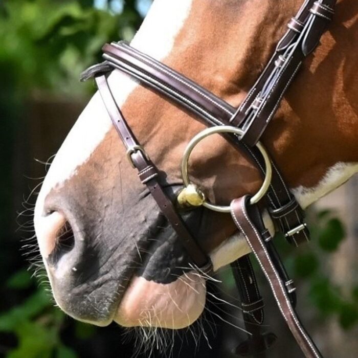 Jump'in - Noseband Week – Image 2