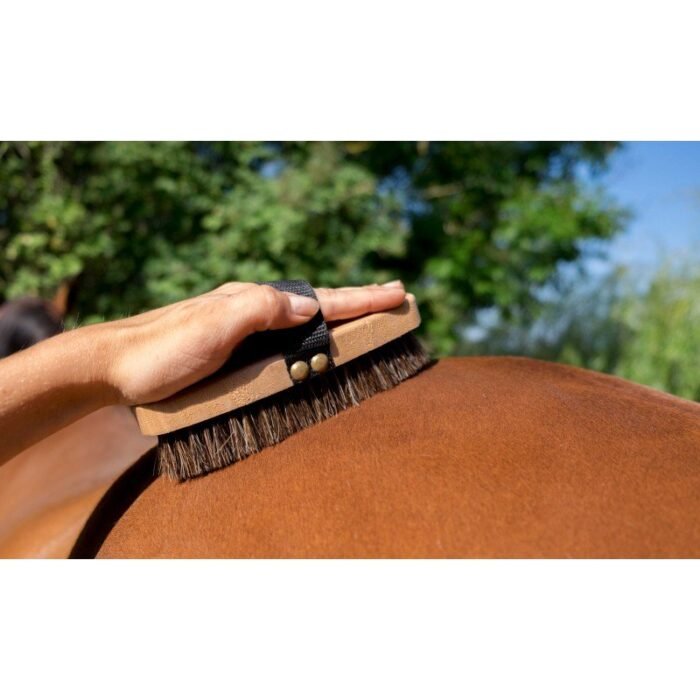 Hippotonic - Brosse extra douce Petit Modèle – Image 2