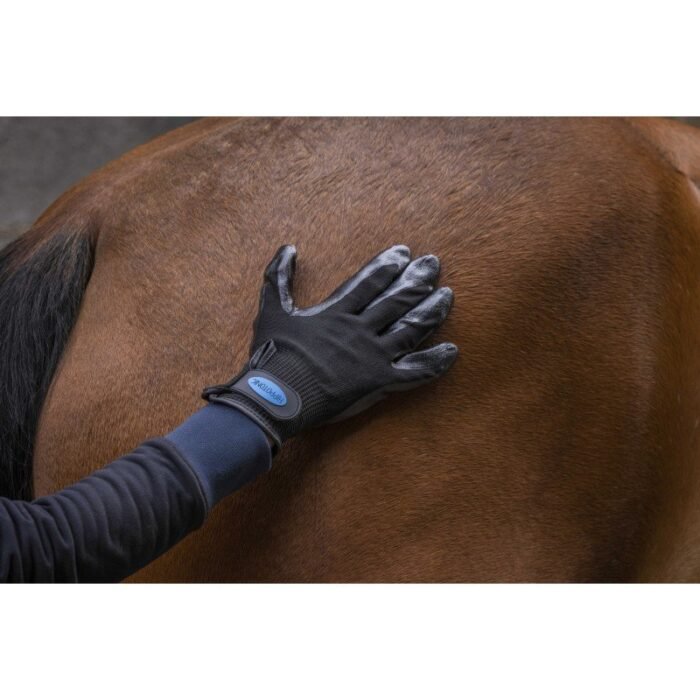 Hippotonic - Gants de pansage anti-mue – Image 3