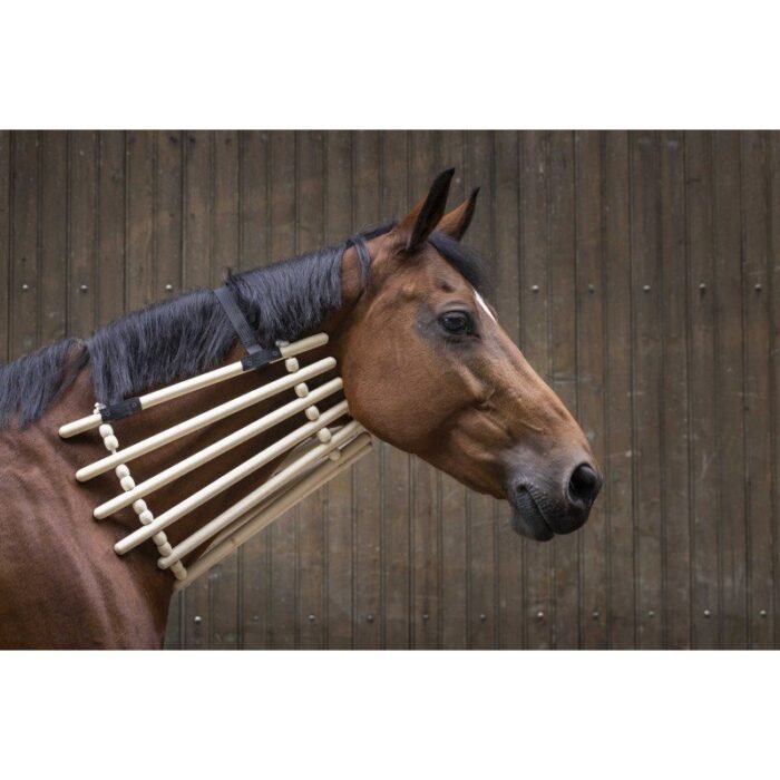 Hippotonic - Collier de bois