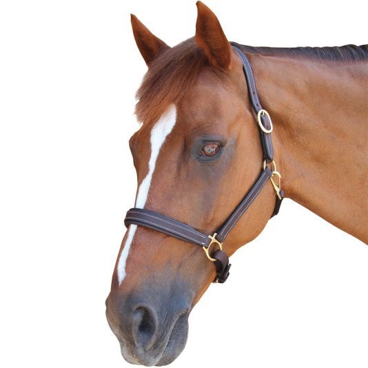 Privilège Equitation - Licol La Baule