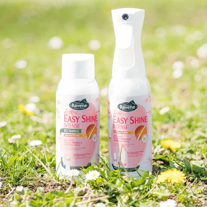 Ravene - Easy Shine Intense 500ml – Image 4