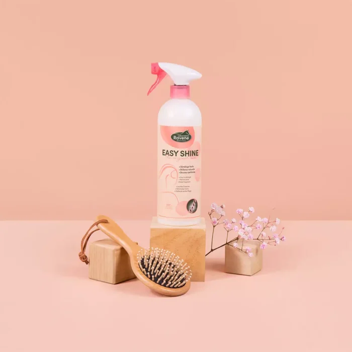 Ravene - Easy Shine spray 750ml – Image 4