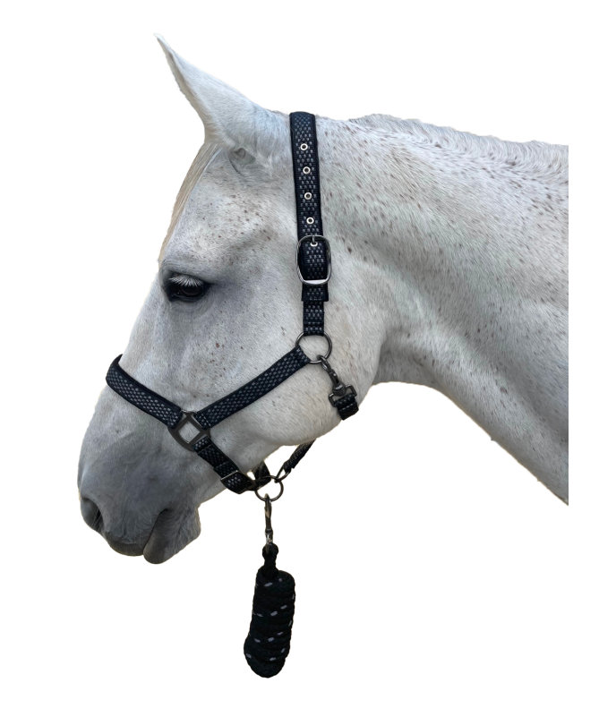 Canter - Set licol + longe Sonoma