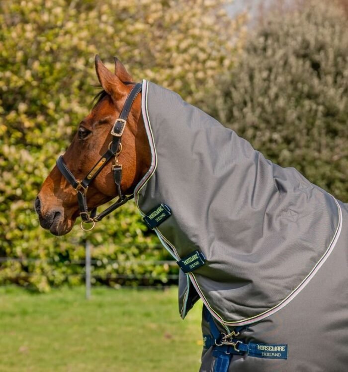Horseware - Amigo Bravo 12 plus 250g – Image 7