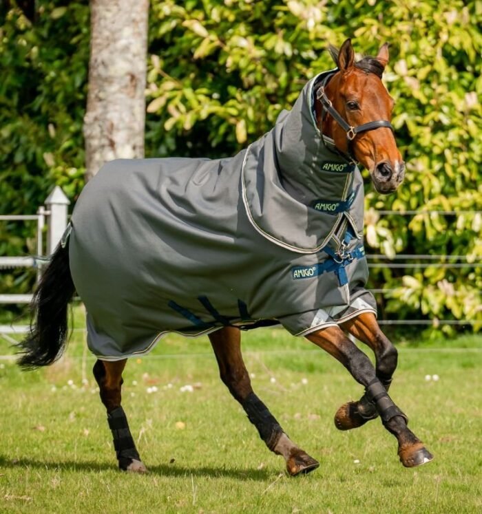 Horseware - Amigo Bravo 12 plus 250g – Image 5