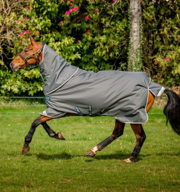 Horseware - Amigo Bravo 12 plus 250g – Image 4